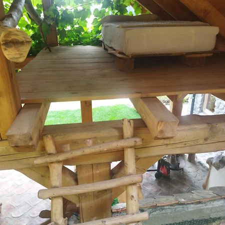 Natur Apartma Rudi Begunje na Gorenjskem Kültér fotó